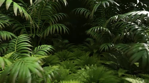 Tropical Forest