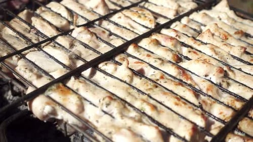 Köstliche Zubereitung von Fleischbraten auf Barbecue-Grill über offenem Feuer in sommerlicher Natur