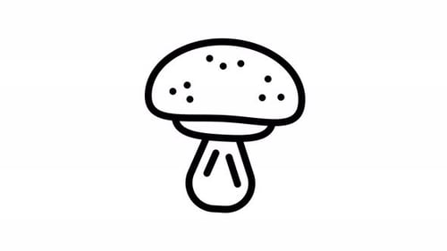 Animated Sketch Outline Mushroom Illustration