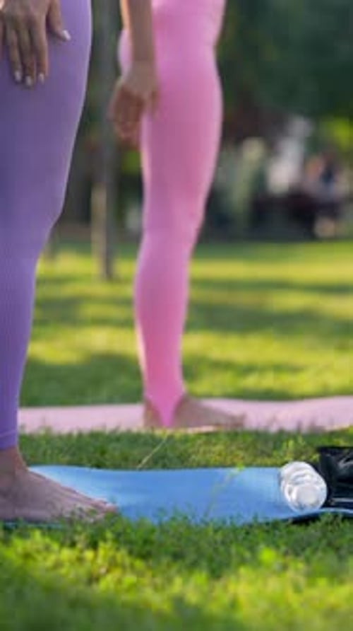 Adults Enjoying Yoga Exercise Together in an Urban Park