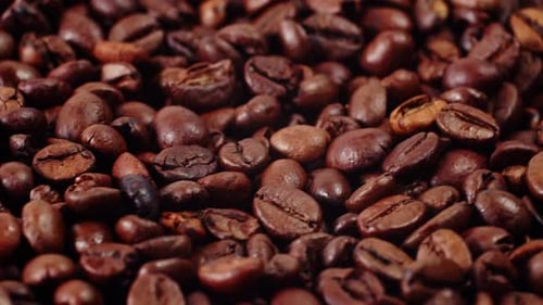 Roasted Coffee Beans Close Up Panning Shot
