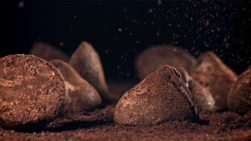 Delicious Chocolate Truffles Covered in Cocoa Powder