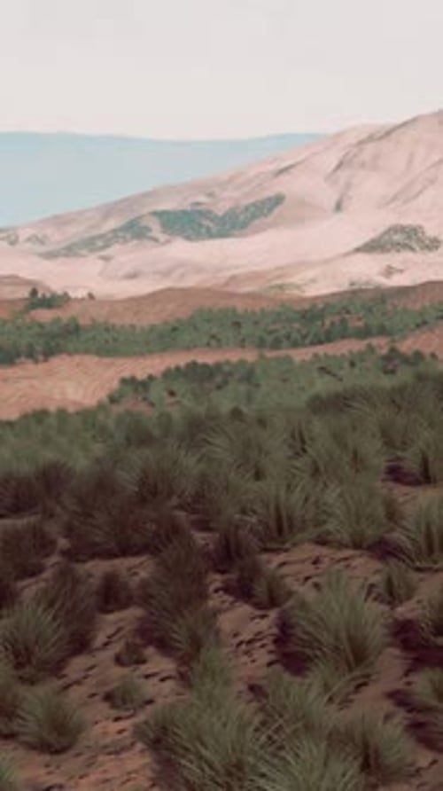 Sand Desert with Some Grass