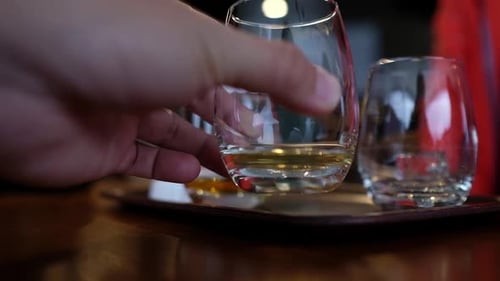Whisky tasting at the whiskey factory in Japan