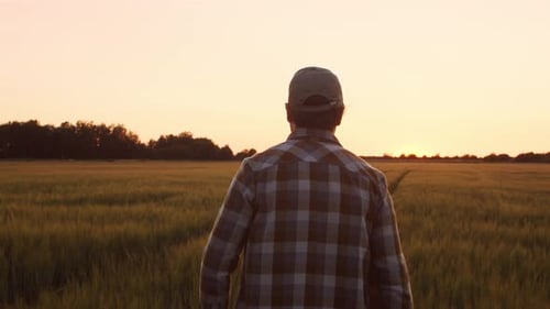 Farmer in Front of a Sunset Agricultural Landscape Man in a Countryside Field Country Life Food