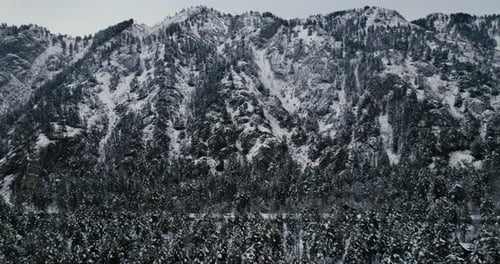 View of Mountains and Forest in Winter
