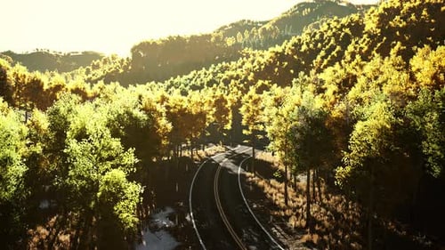 Luftbild der kurvigen Straße im schönen Herbstwald