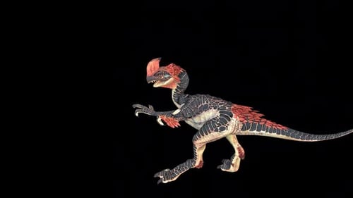 Gorgosaurus Die Idle