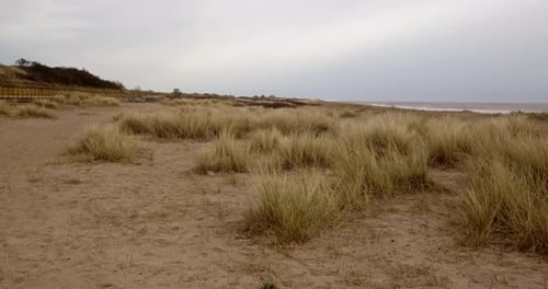looking north though the sand dunes Marram Grass with the sea beyond on Ingoldmells, Skegness beach