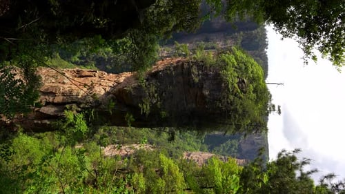 Lush Jungle Landscape with Towering Rock Formations