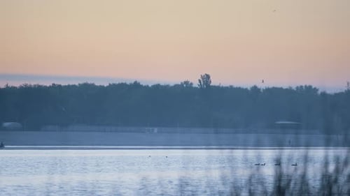 Pink sky twilight over park pond near forest in autumn dusk scenery