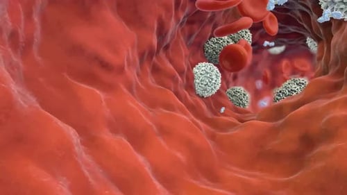 Blood Cells and Molecules Flowing Through Artery Animation