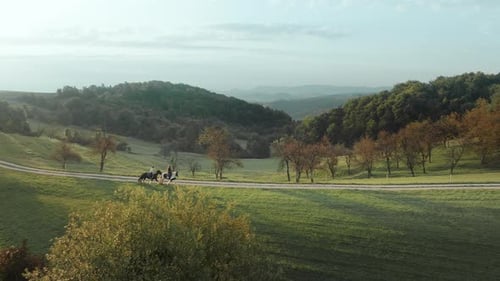 Young women horseback riding down the coutryside hill. Horses galloping in slowmotion.