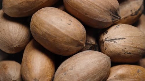 Background made of pecan nuts in shells, close-up, rotating in a glass jar.