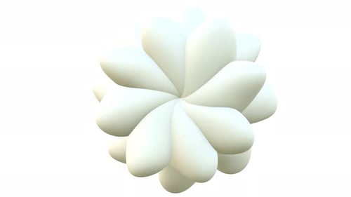 Minimalist 3D Abstract Petal Shape Rotation