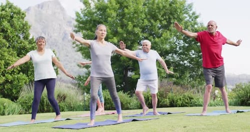 Diverse group of male and female seniors practicing yoga together in sunny garden, slow motion