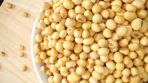 Macro video showcases soybeans in a bowl