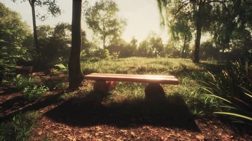 Beautiful Autumn Picnic Area Under a Tree and a Bench