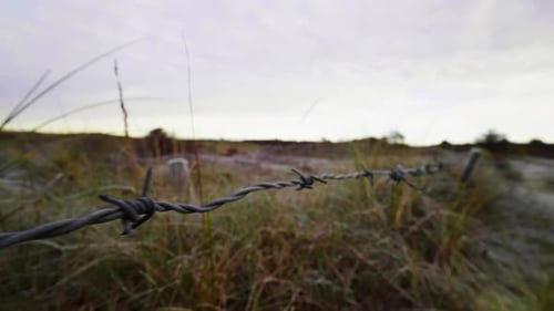 barbed wire spiked fence separating a field with vegetation. Detail plan