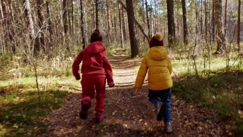 Children Run Joyfully Through a Forest Trail on a Sunny Autumn Day
