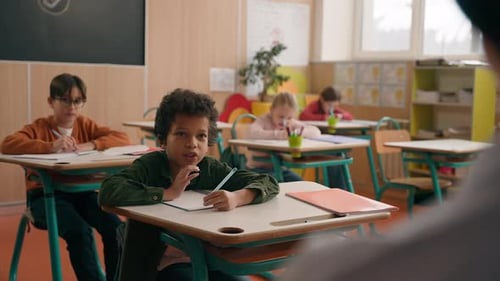 School Class Lesson Group of Multiracial Diversity Multiethnic Children Kids Studying Learning