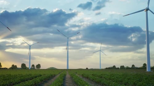Turbinas eólicas de pie al atardecer. Granja con turbinas eólicas, puesta
de sol
