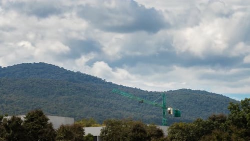 Construction crane and building among the trees. Time-lapse with zoom in.