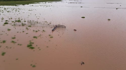 Aerial flyover fishermen in boat attend to arrow head fishnet traps along the brown muddy flooded wa