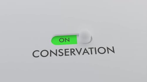 Switching on the CONSERVATION switch