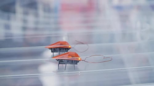 Remotecontrolled Robotic Bug Walks Through a Maze Side View