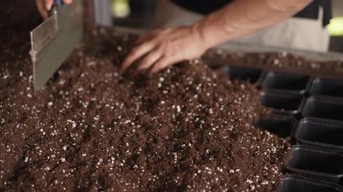 Leveling Soil for Growing Plants Close Up
