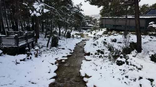 Snowy River Landscape