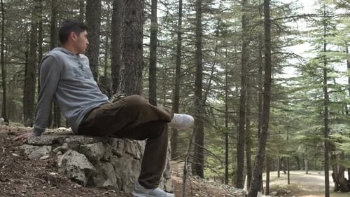 Man Sitting Thoughtfully in a Lush Green Forest