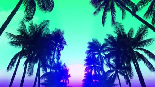 Palm trees against colorful sunset