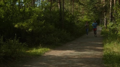 Healthy Couple Jogging Together in Evergreen Sunny Forest