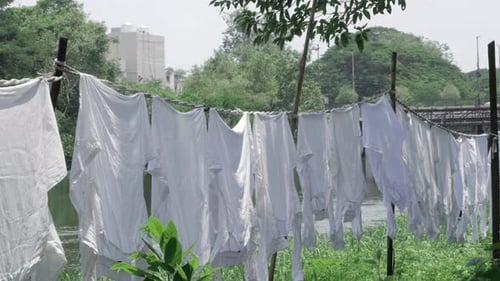 Washed in Nature's Embrace - Uma linha de lavanderia serena