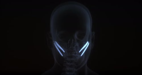 Futuristic Dental X-Ray Scan of Human Head