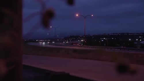 defocused foreground plants frame busy overcast urban highway at dusk