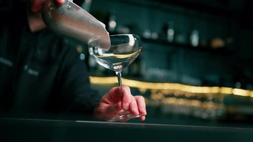 Bartender Pouring Ice into Glass at Bar