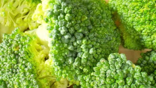 Fresh Green Broccoli Florets Rotating