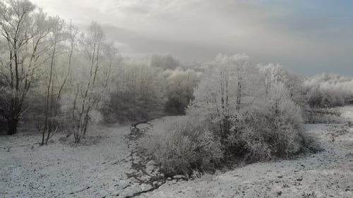 Gefrorene Baumlandschaft, Frost im Wald, Sonnenschein durch Wolken, Luftpanorama