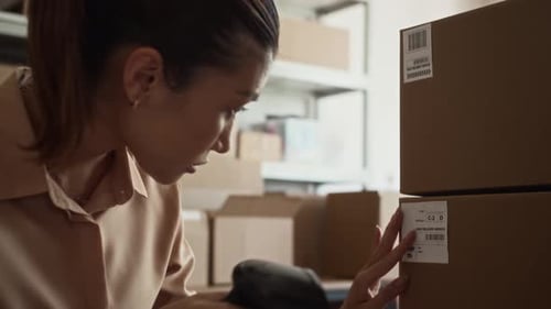 Woman Scanning Barcode in Shipping Warehouse