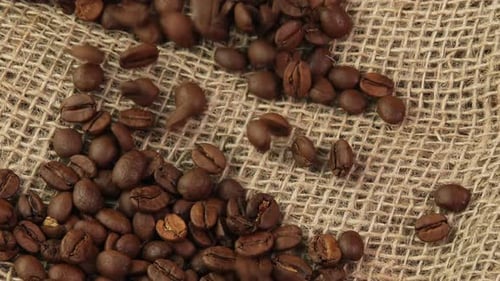 Roasted coffee beans falling onto burlap for packaging in a coffee shop. An invigorating morning