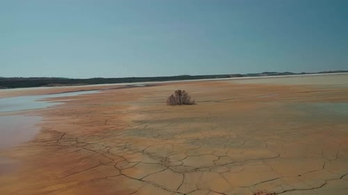 Fast aerial close in shot of a tree in the middle of the mudlands in the Riotinto Copper Mines, Sapi