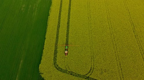 Farm Tractor with spray booms spraying pesticides over yellow blooming rapeseed field, aerial pull b