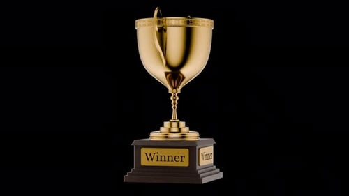 First place in a computer game. Top Performance Award. Rotating winner cup