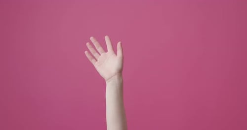 Arm and Hand Counting in Front of Pink Background
