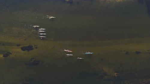 Kayakers paddle on the river