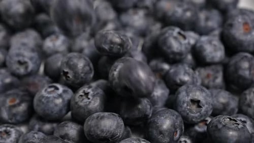 Falling Blueberries 44