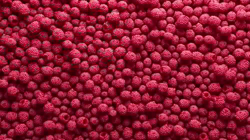 Close-Up of Fresh Raspberries